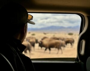 Photo crew member looking out at bison
