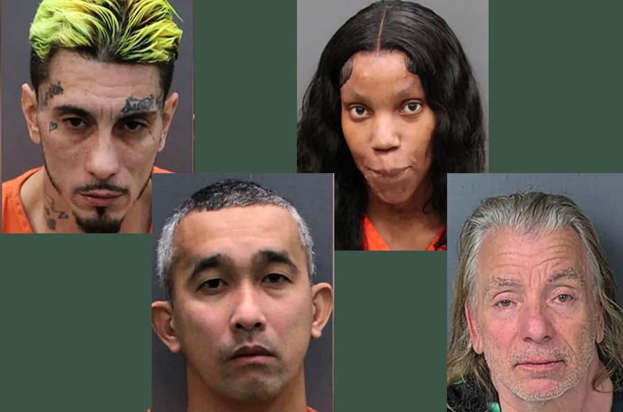 Composite of 4 people arrested in human trafficking operation in Hillsborough County Florida