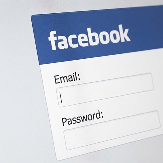 Detail view of Facebook's login page